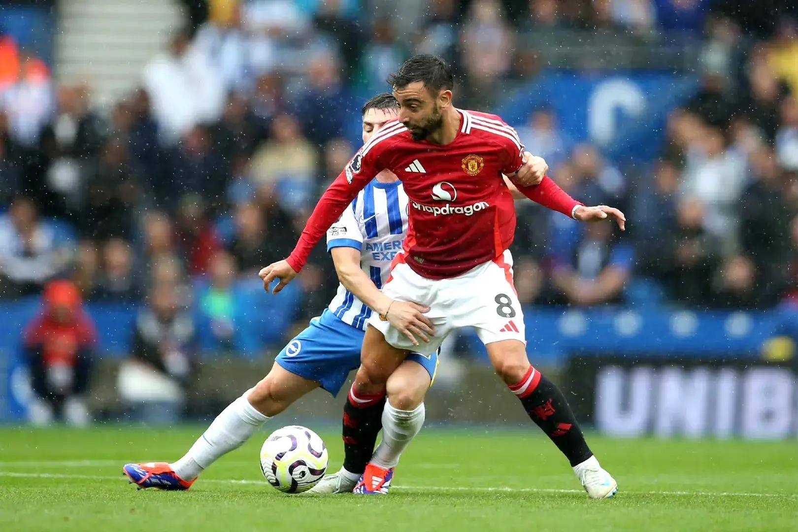 在与澳大利 在与澳大利